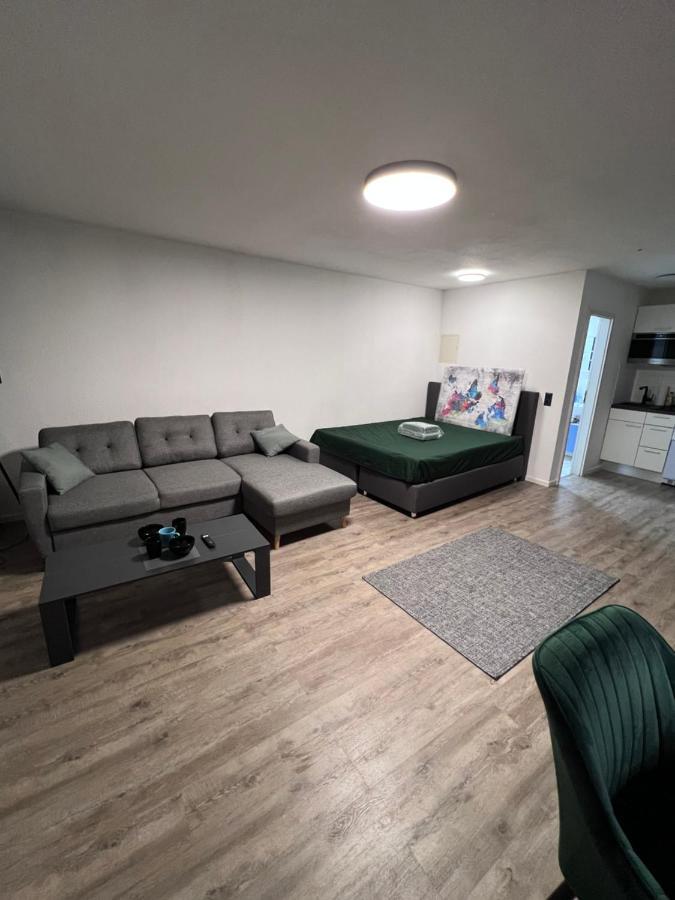 Business Apartment Карлсруэ Экстерьер фото